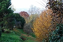Parco Europa Autunno_091